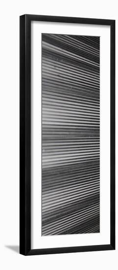 Threads II-Jairo Rodriguez-Framed Photographic Print