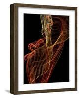 Threads of light-Heidi Westum-Framed Photographic Print