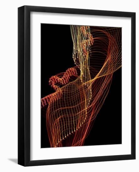 Threads of light-Heidi Westum-Framed Photographic Print