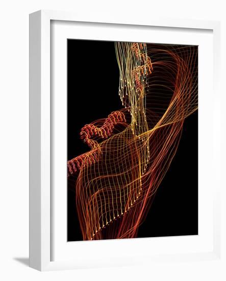 Threads of light-Heidi Westum-Framed Photographic Print