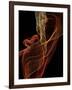 Threads of light-Heidi Westum-Framed Photographic Print