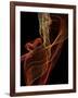 Threads of light-Heidi Westum-Framed Photographic Print