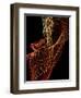 Threads of light-Heidi Westum-Framed Photographic Print