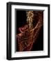 Threads of light-Heidi Westum-Framed Photographic Print