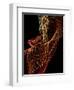 Threads of light-Heidi Westum-Framed Photographic Print