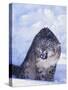 Threatened Snow Leopard-DLILLC-Stretched Canvas