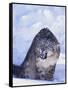 Threatened Snow Leopard-DLILLC-Framed Stretched Canvas