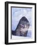 Threatened Snow Leopard-DLILLC-Framed Photographic Print