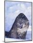 Threatened Snow Leopard-DLILLC-Mounted Photographic Print