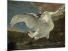 Threatened Swan, Jan Asselijn-Jan Asselijn-Mounted Art Print