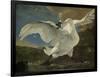 Threatened Swan, Jan Asselijn-Jan Asselijn-Framed Art Print