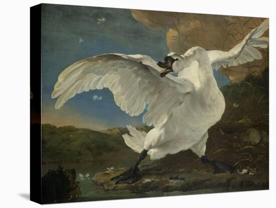 Threatened Swan, Jan Asselijn-Jan Asselijn-Stretched Canvas