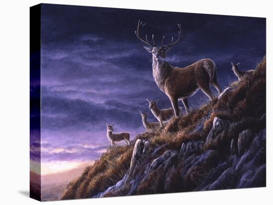 Threatening Sky Red Deer-Jeremy Paul-Stretched Canvas