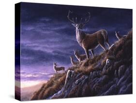 Threatening Sky Red Deer-Jeremy Paul-Stretched Canvas