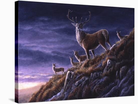 Threatening Sky Red Deer-Jeremy Paul-Stretched Canvas