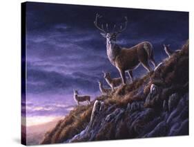 Threatening Sky Red Deer-Jeremy Paul-Stretched Canvas