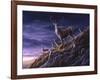 Threatening Sky Red Deer-Jeremy Paul-Framed Giclee Print