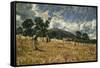 Threatening Weather-James Charles-Framed Stretched Canvas