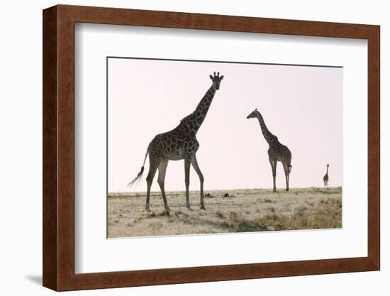 Three, 2019-Eric Meyer-Framed Photographic Print