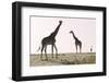 Three, 2019-Eric Meyer-Framed Photographic Print