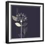 Three Abstract Lotus Flower on the Dark Purple Background Vector-Lena Livaya-Framed Art Print