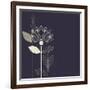 Three Abstract Lotus Flower on the Dark Purple Background Vector-Lena Livaya-Framed Art Print