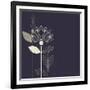 Three Abstract Lotus Flower on the Dark Purple Background Vector-Lena Livaya-Framed Art Print