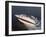 Three Adults on a Motorboat-null-Framed Photographic Print