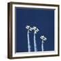Three Aerobatic Aeroplanes Flying Straight up during an Airshow-Johan Swanepoel-Framed Photographic Print