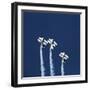 Three Aerobatic Aeroplanes Flying Straight up during an Airshow-Johan Swanepoel-Framed Photographic Print