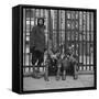 Three African American Boys in Harlem. May 1943-null-Framed Stretched Canvas