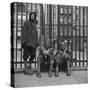 Three African American Boys in Harlem. May 1943-null-Stretched Canvas