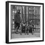 Three African American Boys in Harlem. May 1943-null-Framed Photo