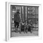 Three African American Boys in Harlem. May 1943-null-Framed Photo