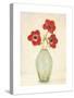 Three Anemones - special-Amy Melious-Stretched Canvas