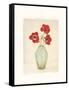 Three Anemones-Amy Melious-Framed Stretched Canvas