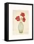 Three Anemones-Amy Melious-Framed Stretched Canvas