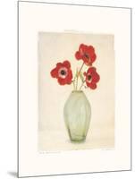 Three Anemones-Amy Melious-Mounted Art Print