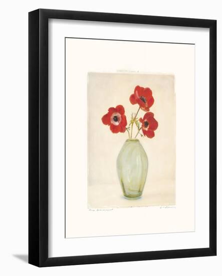 Three Anemones-Amy Melious-Framed Art Print