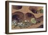 Three Ants in an Anthill-null-Framed Giclee Print