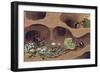 Three Ants in an Anthill-null-Framed Giclee Print