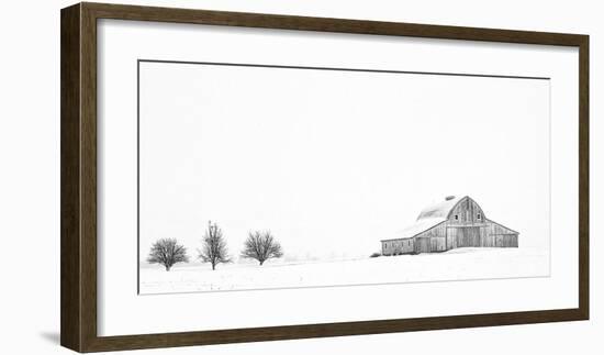 Three Apple Trees-Trent Foltz-Framed Giclee Print