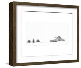 Three Apple Trees-Trent Foltz-Framed Art Print