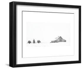 Three Apple Trees-Trent Foltz-Framed Art Print