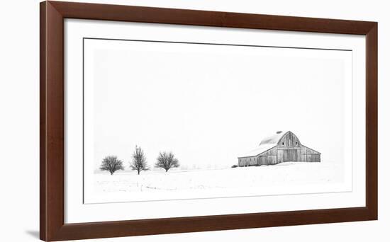 Three Apple Trees-Trent Foltz-Framed Art Print