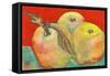 Three Apples with Red Background-Blenda Tyvoll-Framed Stretched Canvas