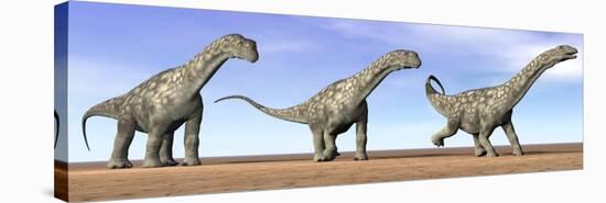 Three Argentinosaurus Dinosaurs Standing in the Desert-null-Stretched Canvas