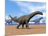 Three Argentinosaurus Dinosaurs Walking in the Desert-null-Mounted Art Print