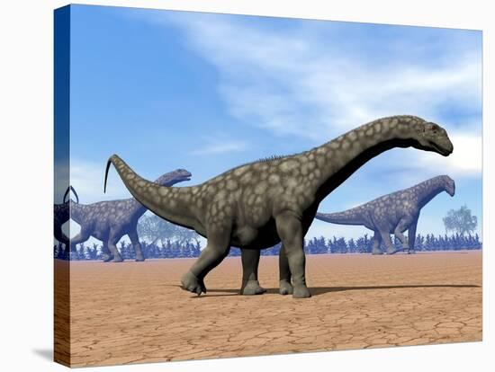 Three Argentinosaurus Dinosaurs Walking in the Desert-null-Stretched Canvas