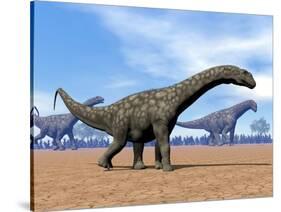 Three Argentinosaurus Dinosaurs Walking in the Desert-null-Stretched Canvas